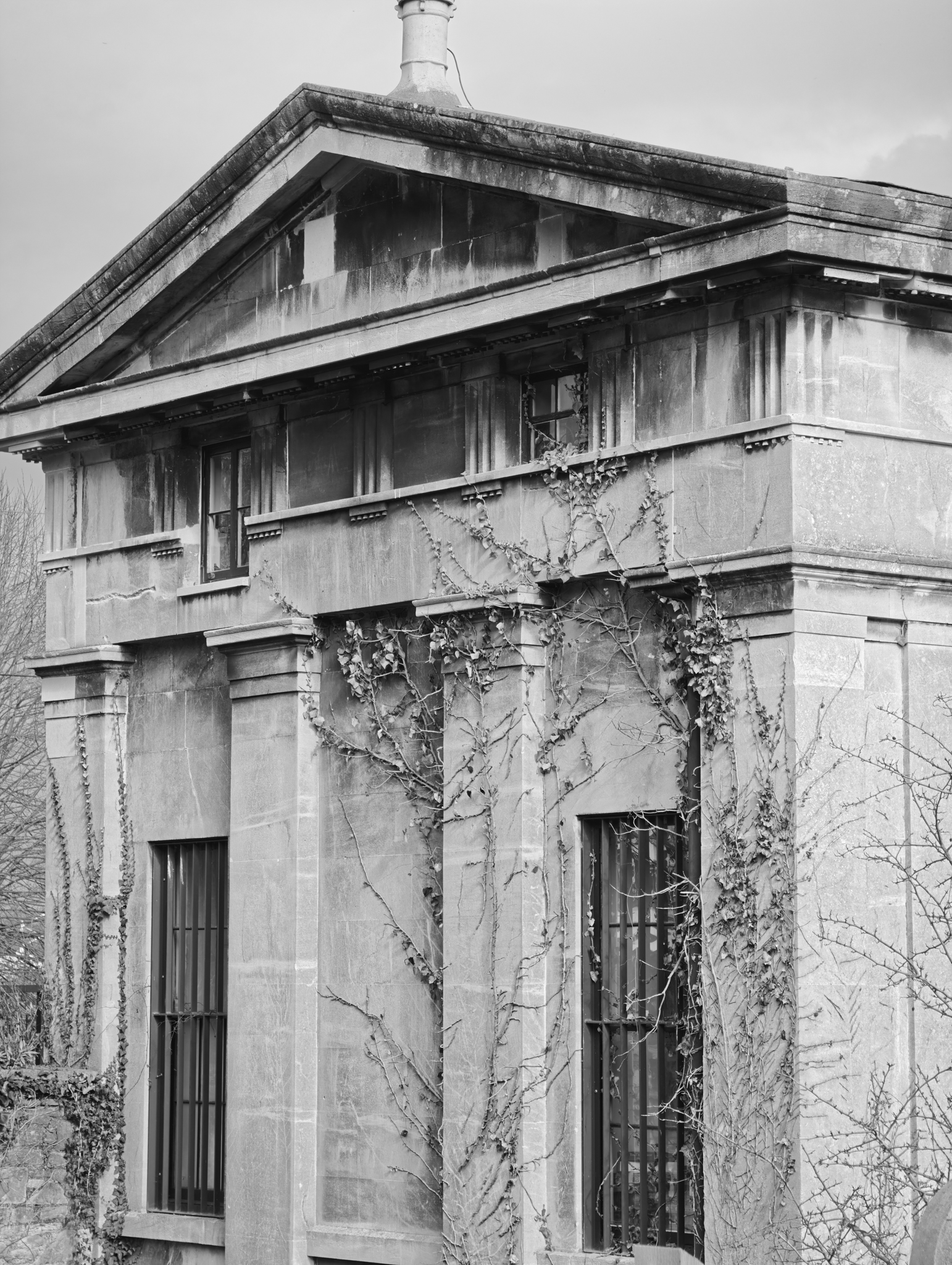 A photo taken on a Leica Leitzphone 200MP smartphone camera