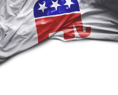 The GOP elephant on a flag