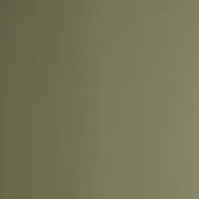 Light moss paint from Dunelm