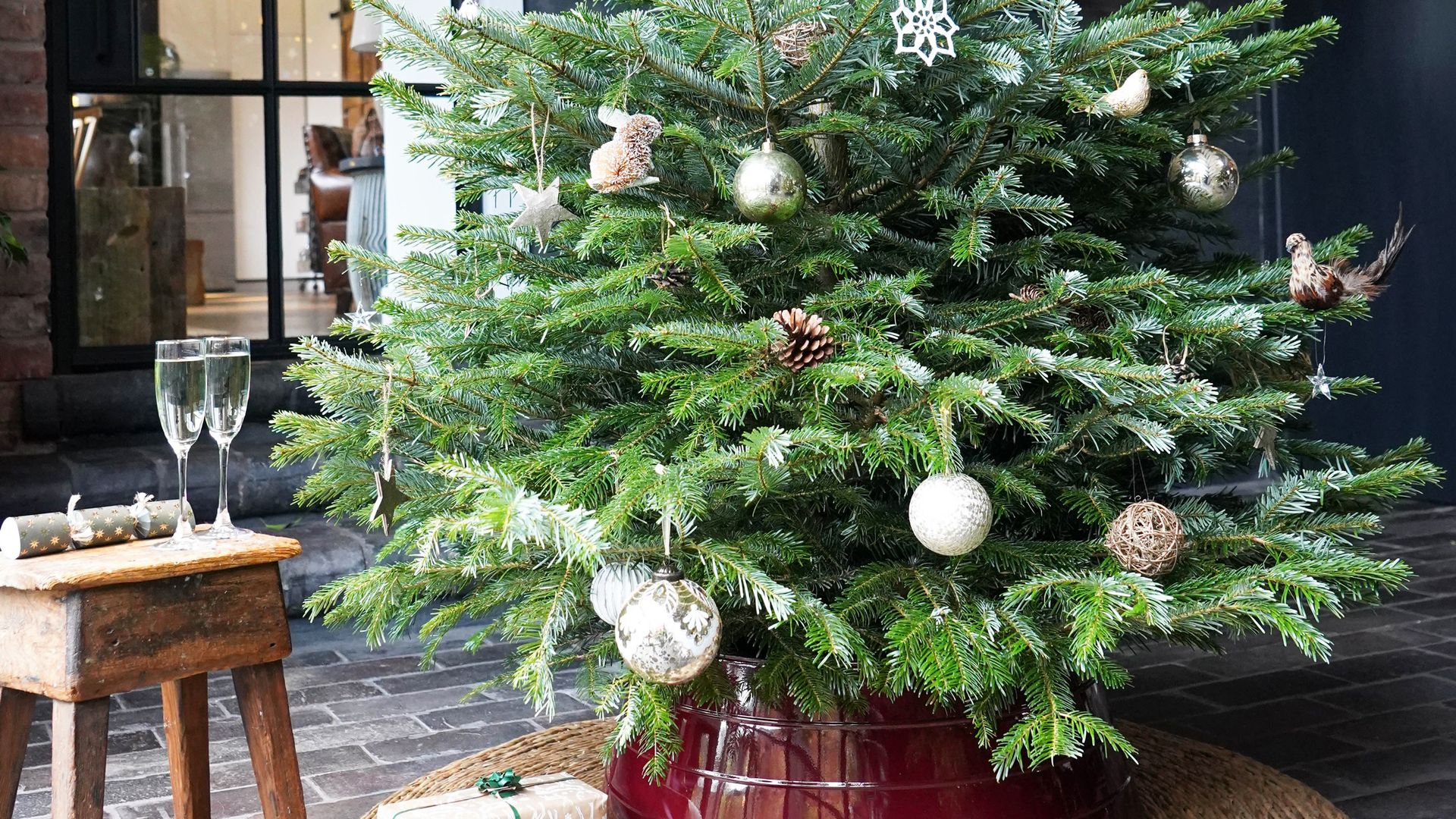 Mark Lane shares Christmas tree misting tip Gardeningetc