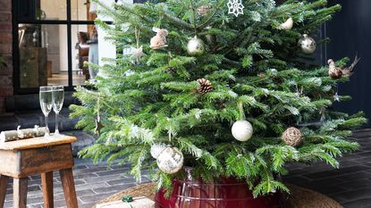 real christmas tree branches and decorations