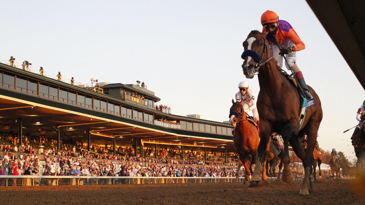 How to watch Breeders' Cup 2021 live stream online from anywhere