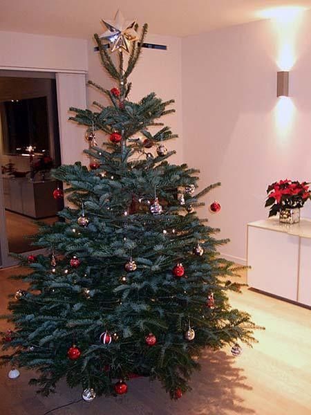 Gunn-Rita's Christmas tree adorned her and Kenneth's new home.