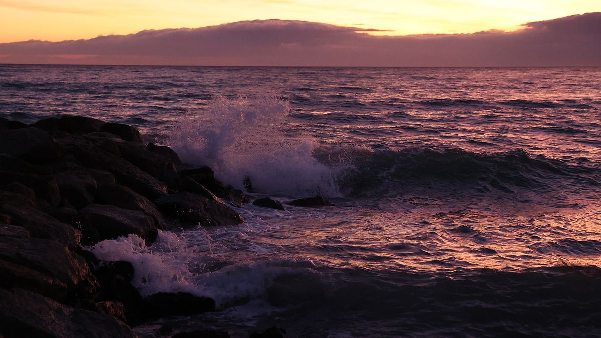 Canon 1DX Mark III