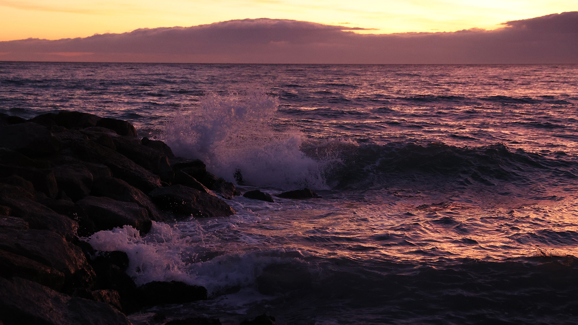 Canon 1DX Mark III