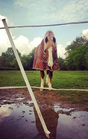 Jacob looking confused after first day of Royal Windsor was cancelled