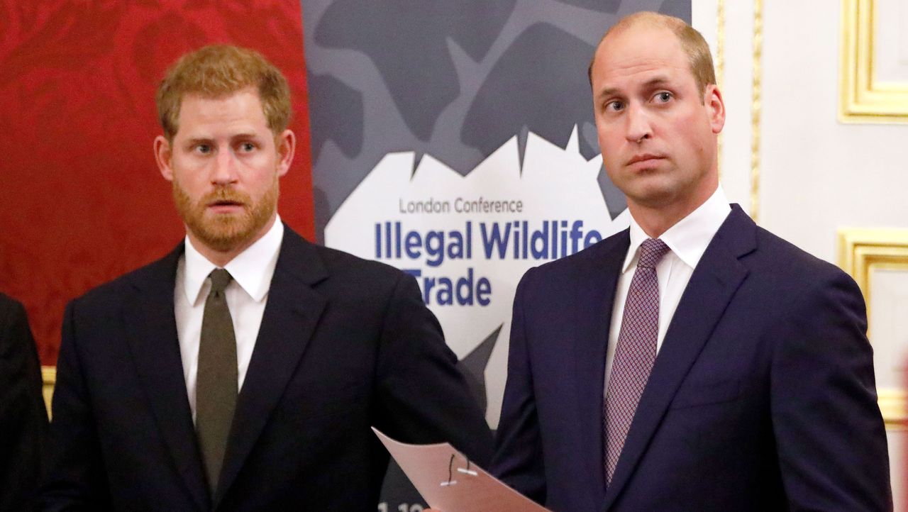 The Duke Of Cambridge Attends The 2018 Illegal Wildlife Trade Conference