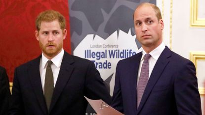The Duke Of Cambridge Attends The 2018 Illegal Wildlife Trade Conference