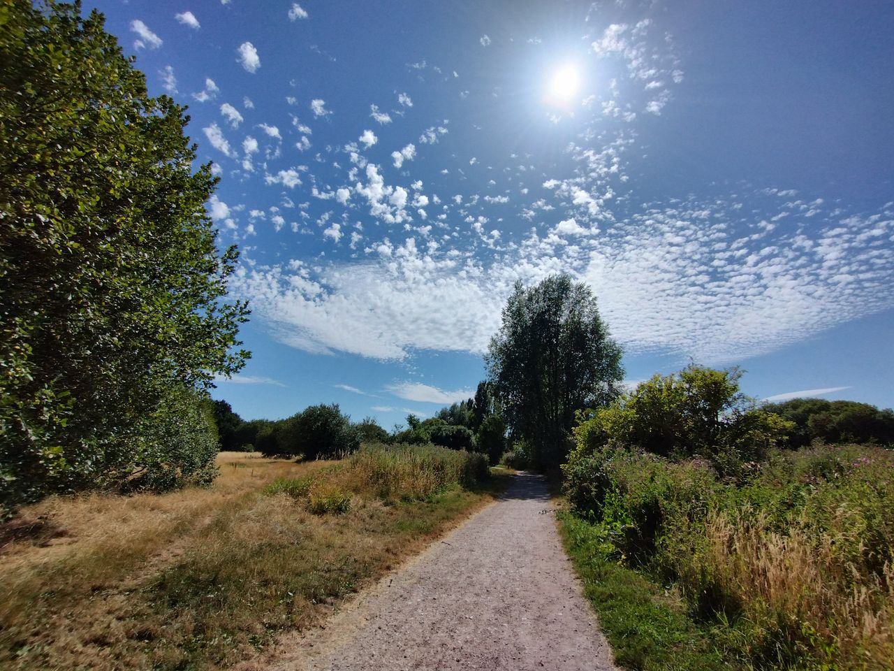 Motorola G62 camera sample: Even though the phone has humble camera hardware, the Auto HDR makes light work of this tough scene, shooting directly into the sun.