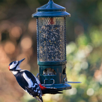 Squirrel Buster Bird Feeder, £49.99 at Amazon