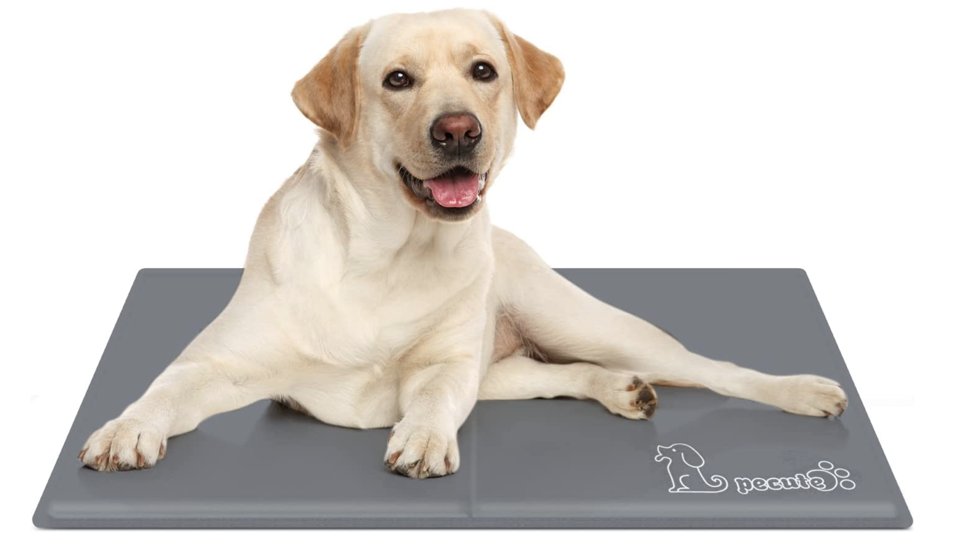 Pecute cooling mat with yellow labrador dog