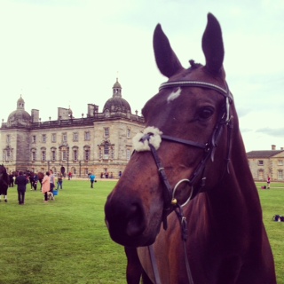Rosie Fry's In Vogue II at Houghton 2014