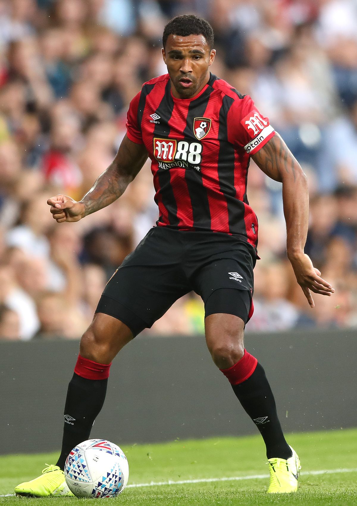 Callum Wilson File Photo