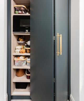 should I use handles or knobs on kitchen cabinets, grey pantry folding door with bright brass handle