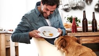 Dog staring at egg on a plate