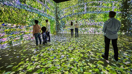 Image of people in an immersive art experience