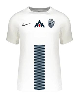 Nike Slovenia Euro 2024 home shirt