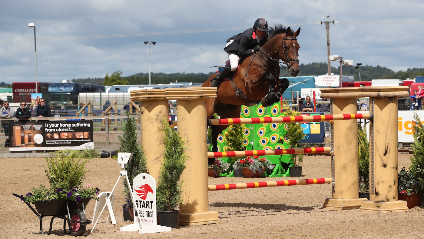 Montreuxs Tale, showjumper ridden and bred by Mark Edwards