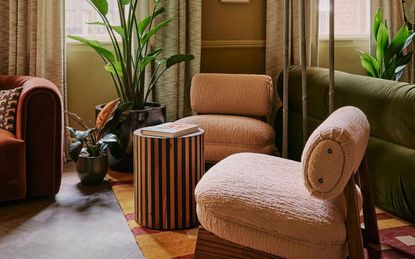 A reading corner with books, chairs and plants