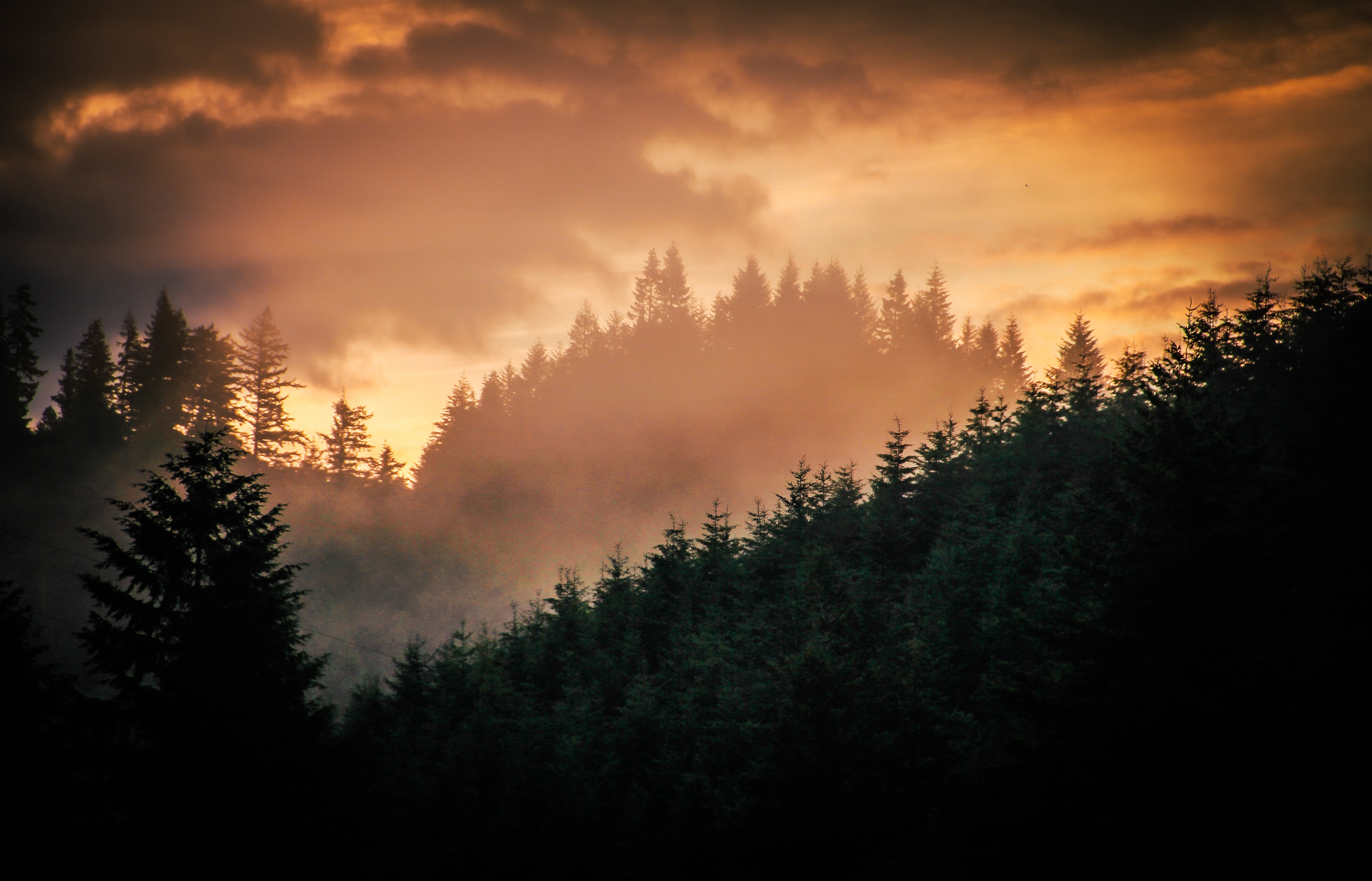 GuruShots - Nature&rsquo;s Masterpiece 2026