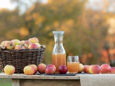 Apples and apple cider on a table outdoors
