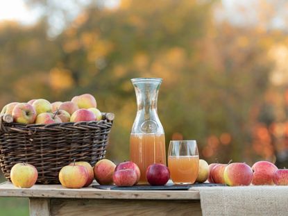 Apples and apple cider on a table outdoors