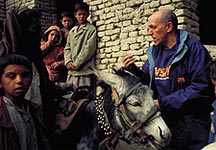 Kabul-donkey-WSPA.jpg