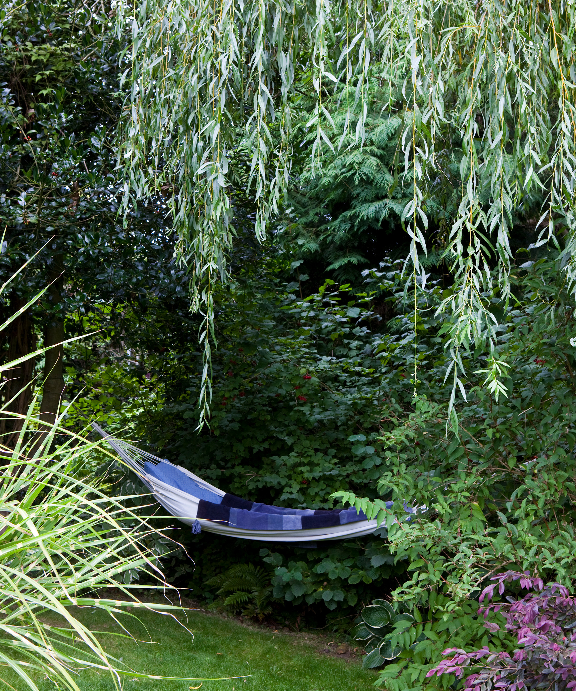 A hammock in a garden