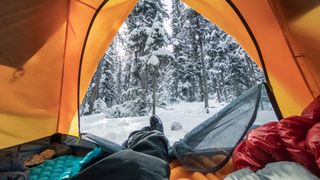 Views of a snowy forest from inside a tent
