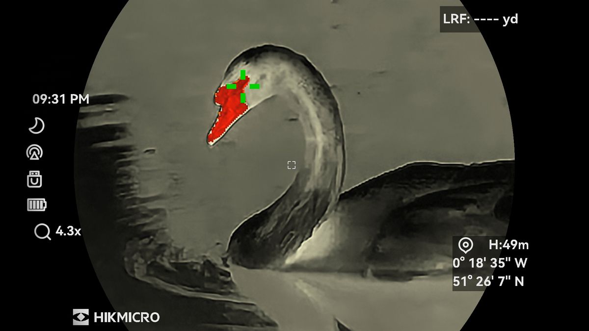 Images taken through a pair of HikMicro Habrok 4K HE25L binoculars