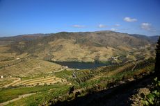 douro valley