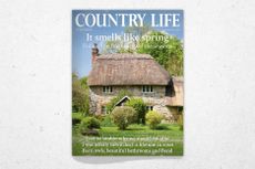 Cover of Country Life January 28, 2026