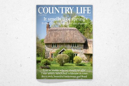 Cover of Country Life January 28, 2026