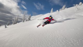 which winter sport is for you?: skiing