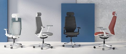 Multiple Flexispot Pro Plus Mesh OC14 office chairs
