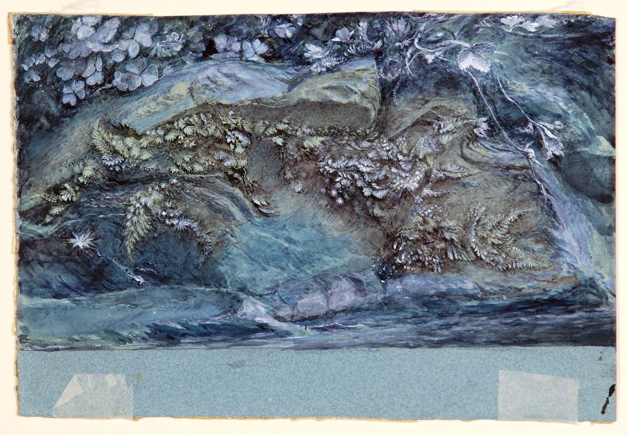 John Ruskin&#039;s Study of Moss, Fern and Wood -Sorrel, upon a Rocky River Bank (1875-79)