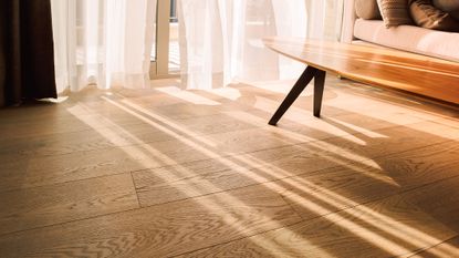 laminate floors with sun coming through the curtains, plus a table in the background