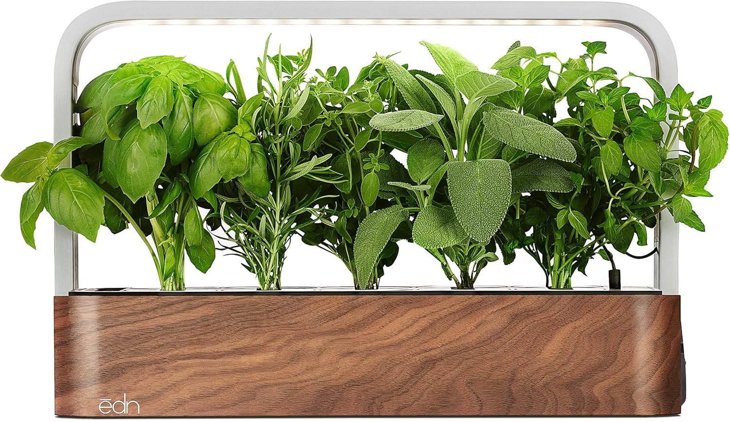 Edn Smallgarden With Basil Seedpods, Indoor Grow Smart Garden for Ios Devices - Fresh Home Grown Herbs, Plants and Flowers - Grow Up to 10 Different Plants at Once