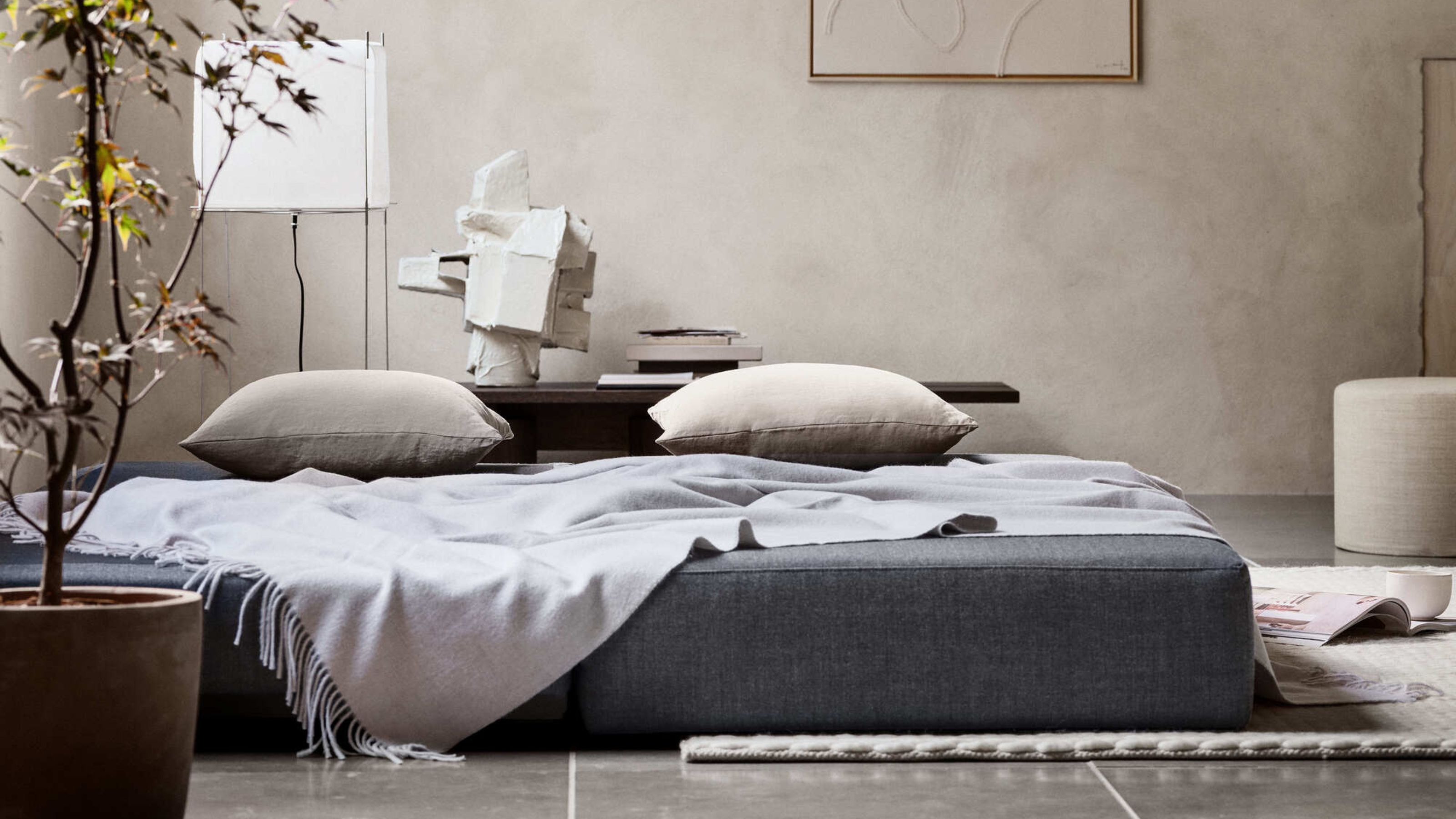 sofa bed unfolded on the floor with cushions, a throw, plaster wall behind, potted plant, lamp, with rug on the floor and console table with vase and books