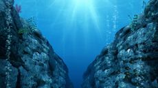 A digital rendering of the Mariana Trench, the deepest place in the Pacific Ocean and the world.