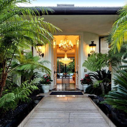 house with white door and plant in white pot