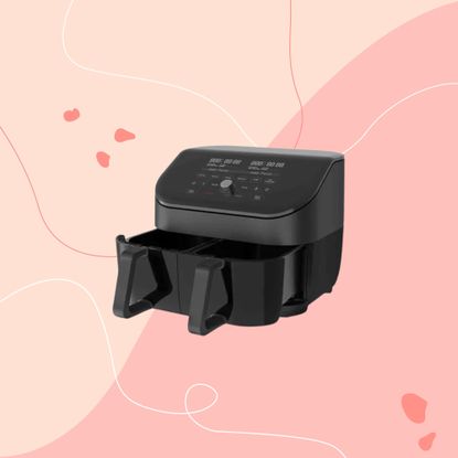 Instant Vortex Plus Dual Basket air fryer on pink background