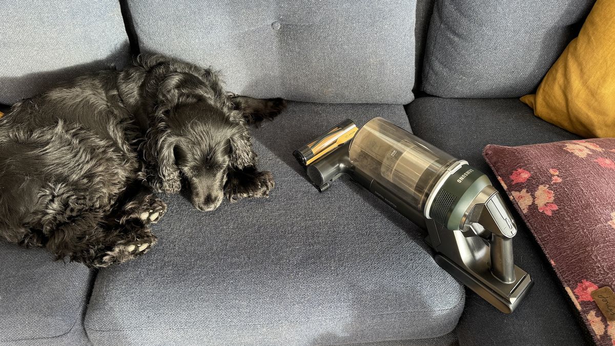 Samsung Jet 85 Pet cordless vacuum on test
