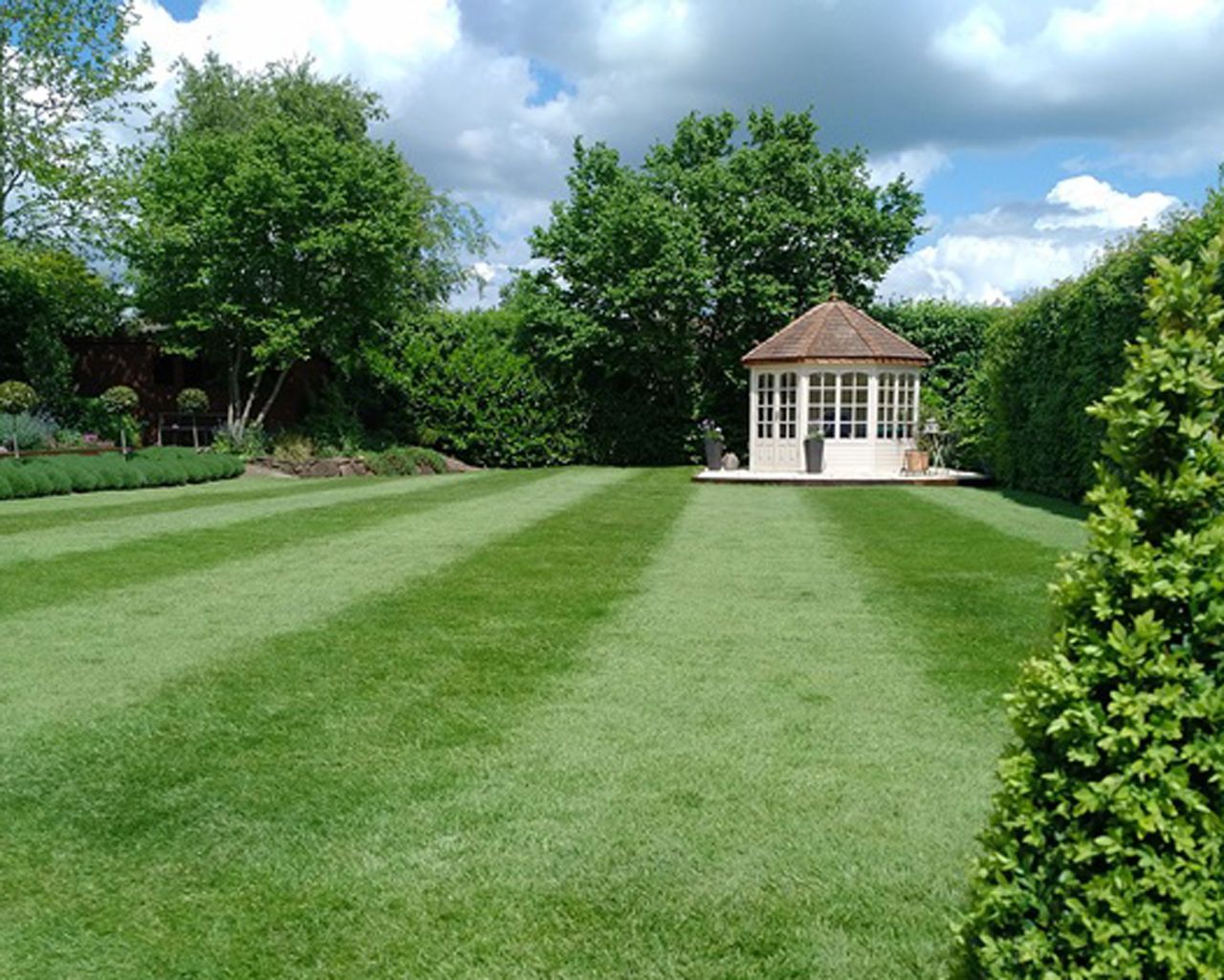 How To Make Your Grass Look Like A Putting Green