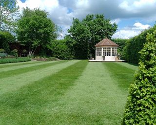 stripy green lawn with summerhouse and topiary