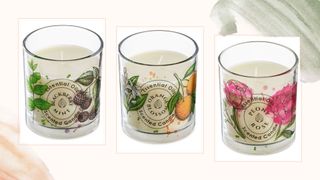 Compilation images showing new summer Aldi scented candles