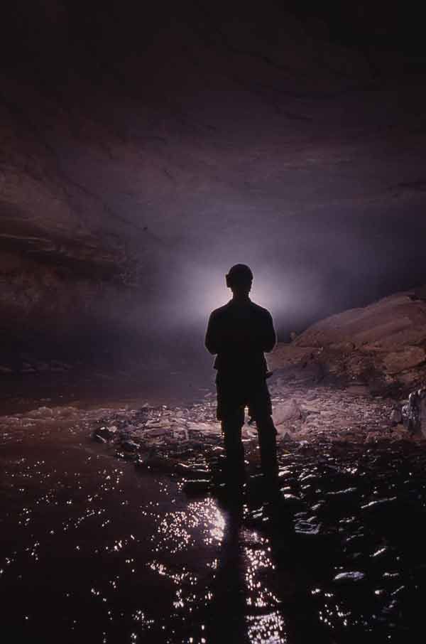 Cave Biologists Shine Light on Creatures of the Dark | Live Science