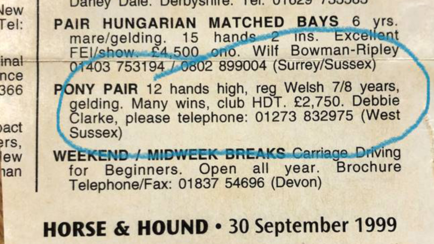 Advert-image001_421952372_777633071.jpg