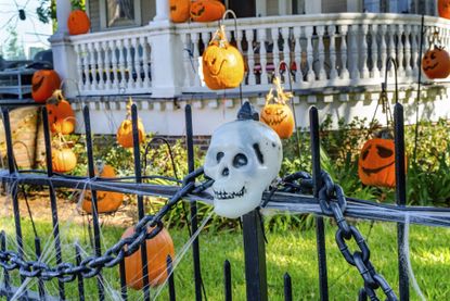 Plastic skulls on a black fence for Halloween.