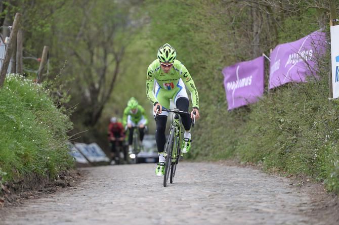 Peter Sagan (Cannondale)
